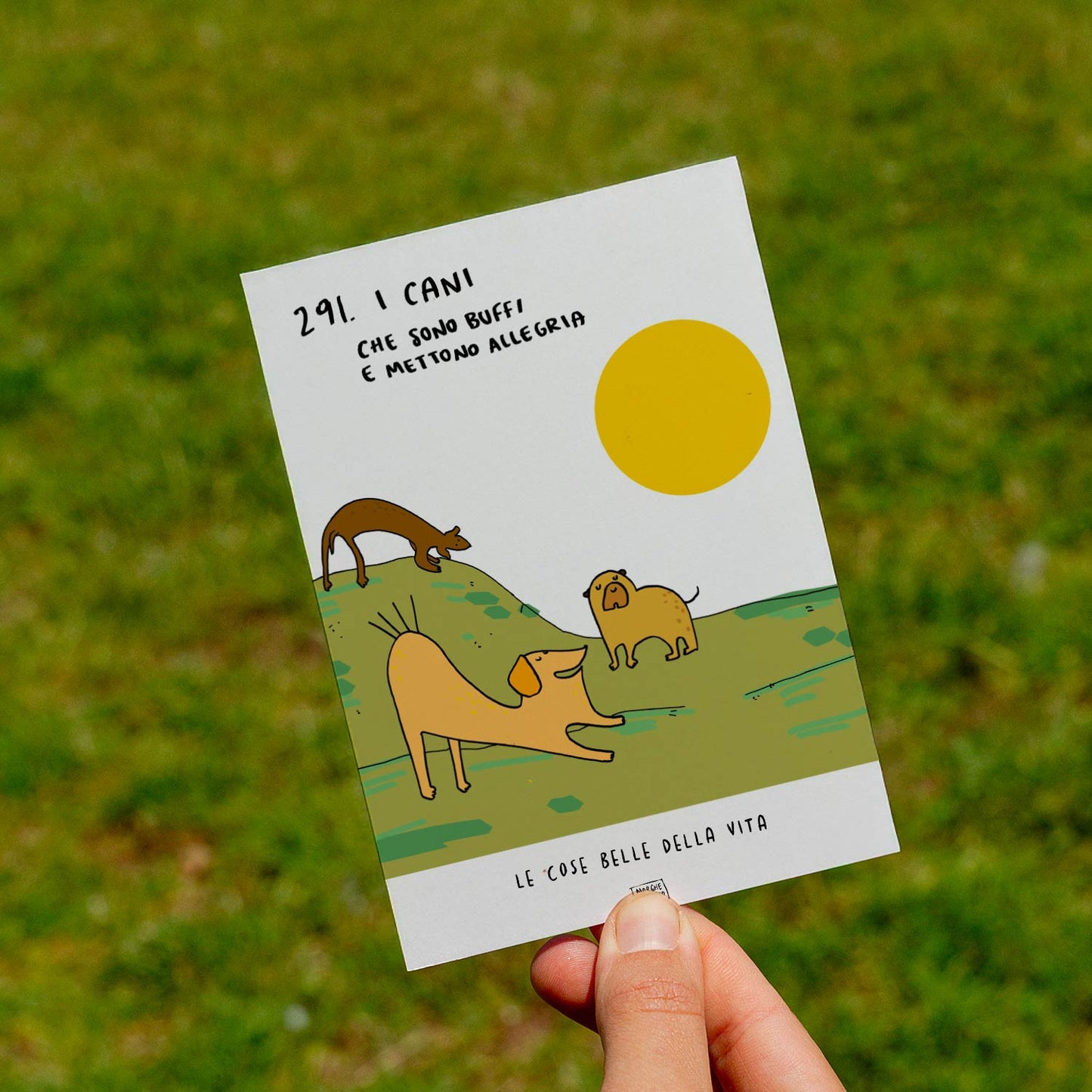 The beautiful things in life - 291. Dogs (which are funny and bring joy) - lawn