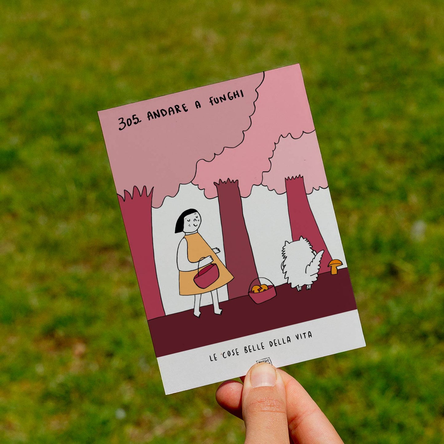 The beautiful things in life - 305. Mushroom picking - lawn