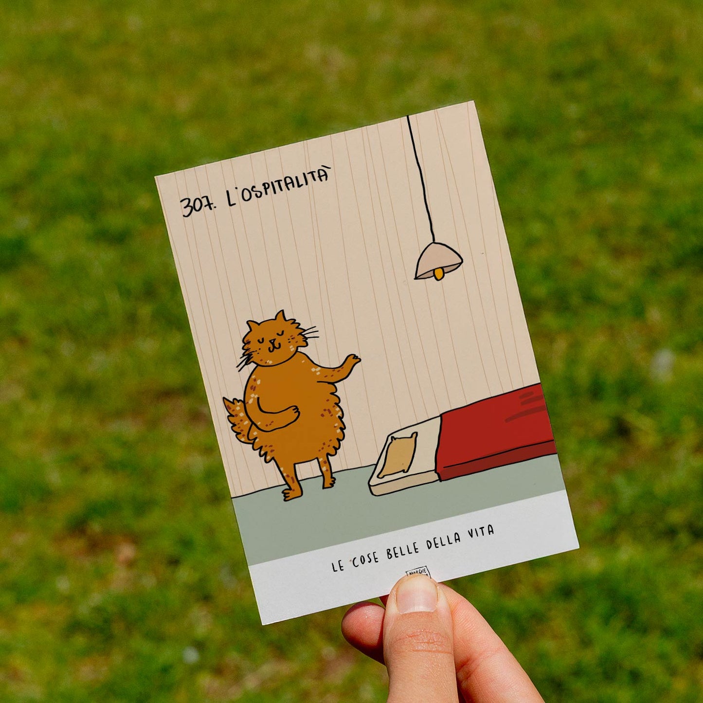 Le cose belle della vita - 307. L'ospitalità - prato