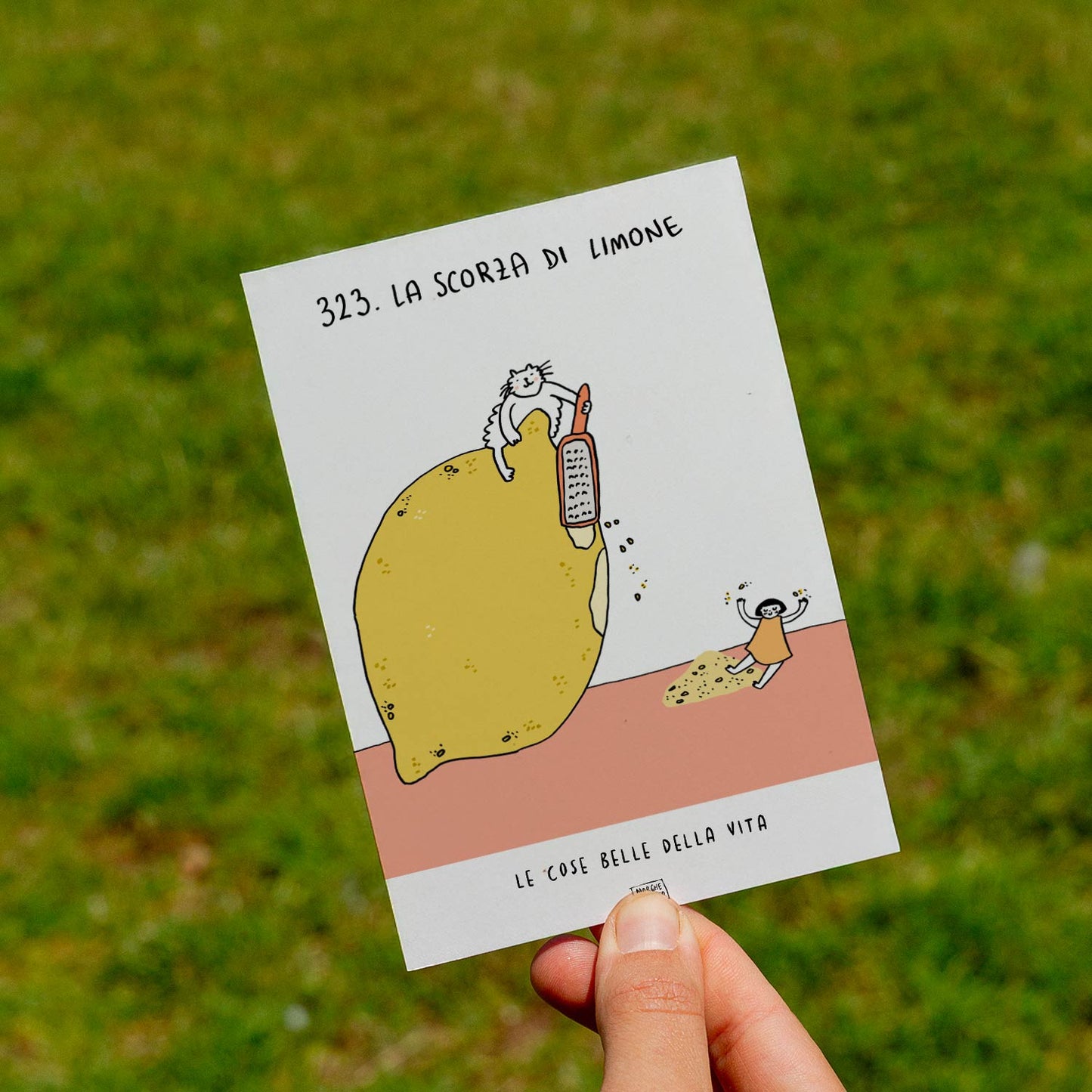 The beautiful things in life - 323. Lemon zest - lawn