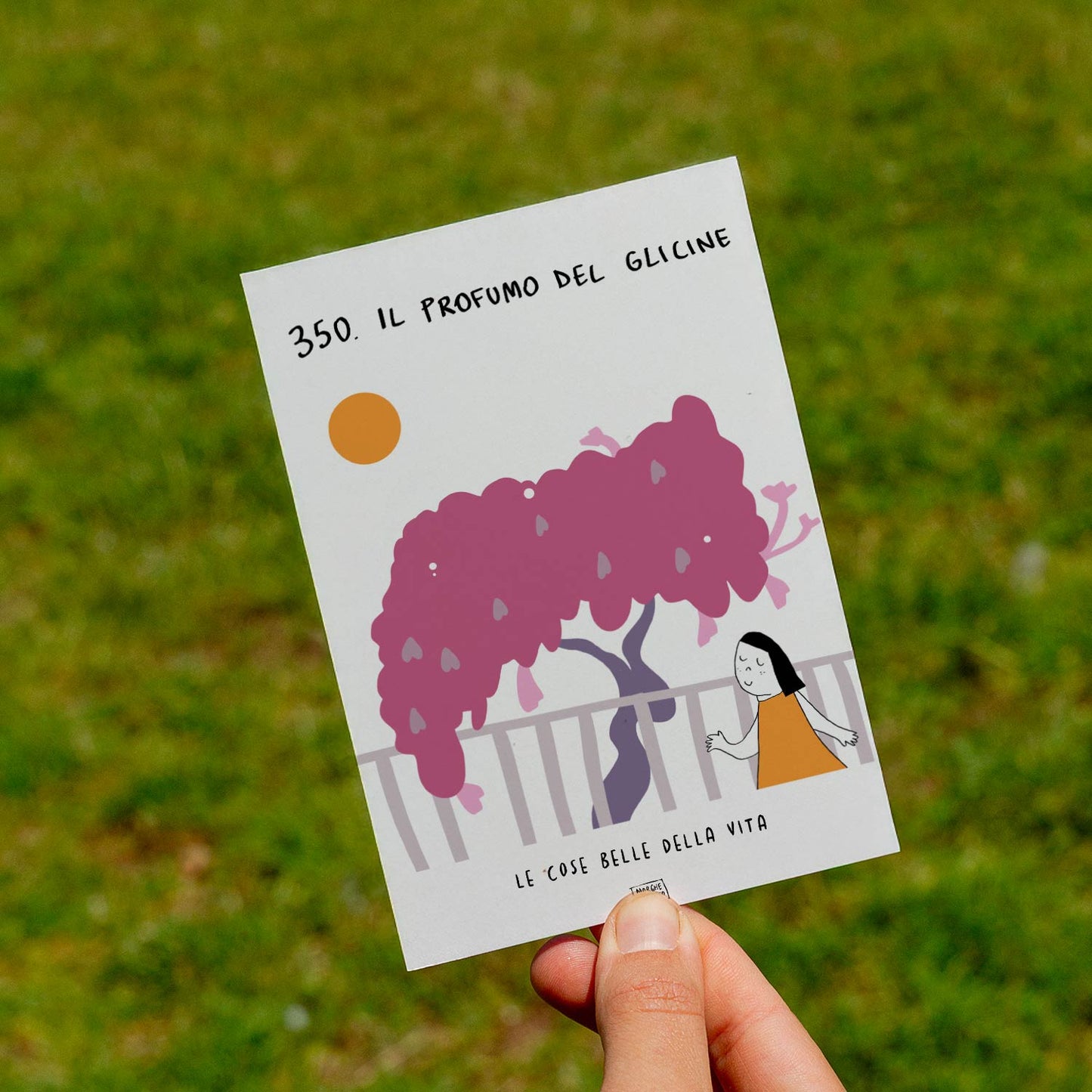 Le cose belle della vita - 350. Il prfumo del glicine - prato