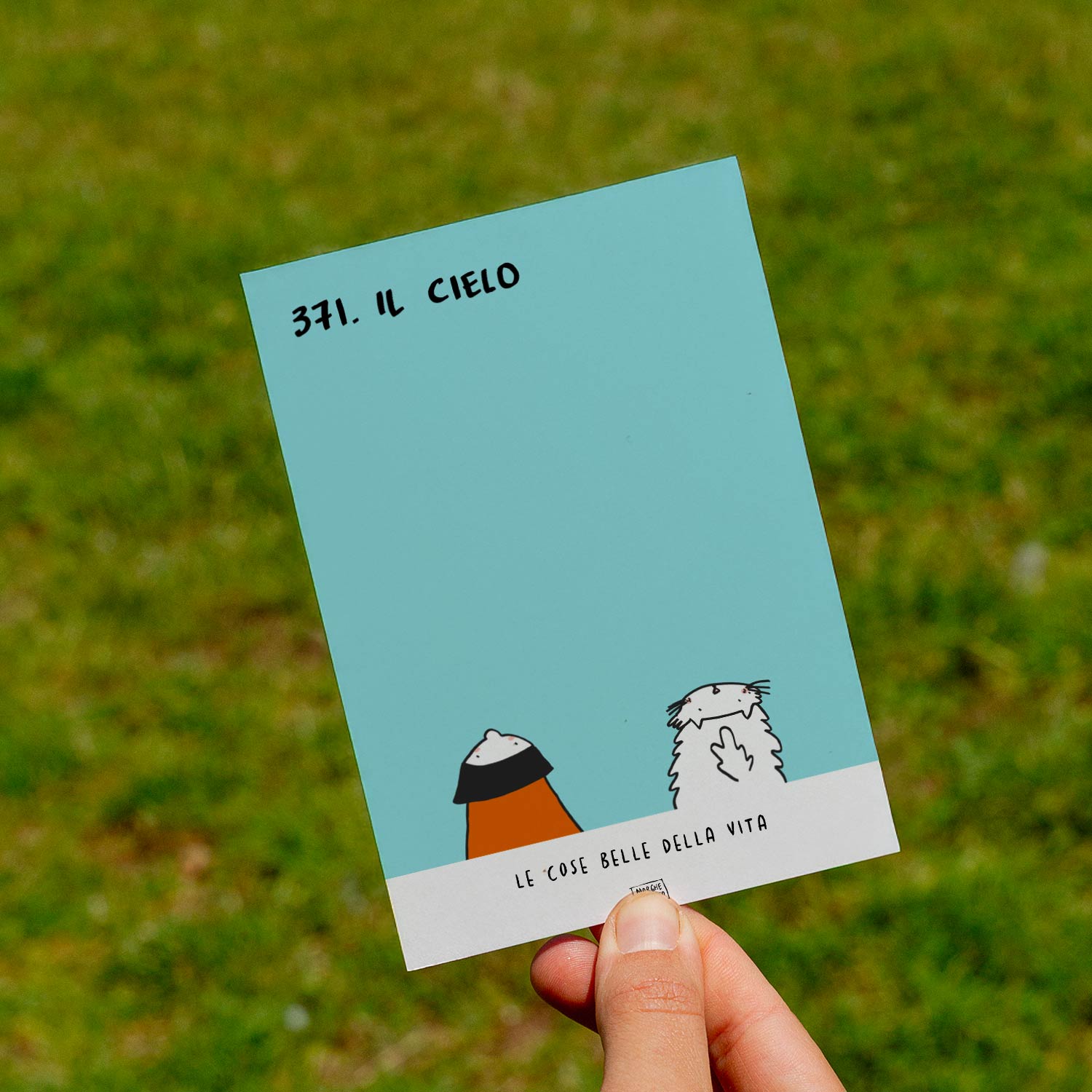 Le cose belle della vita - 371. Il cielo - prato