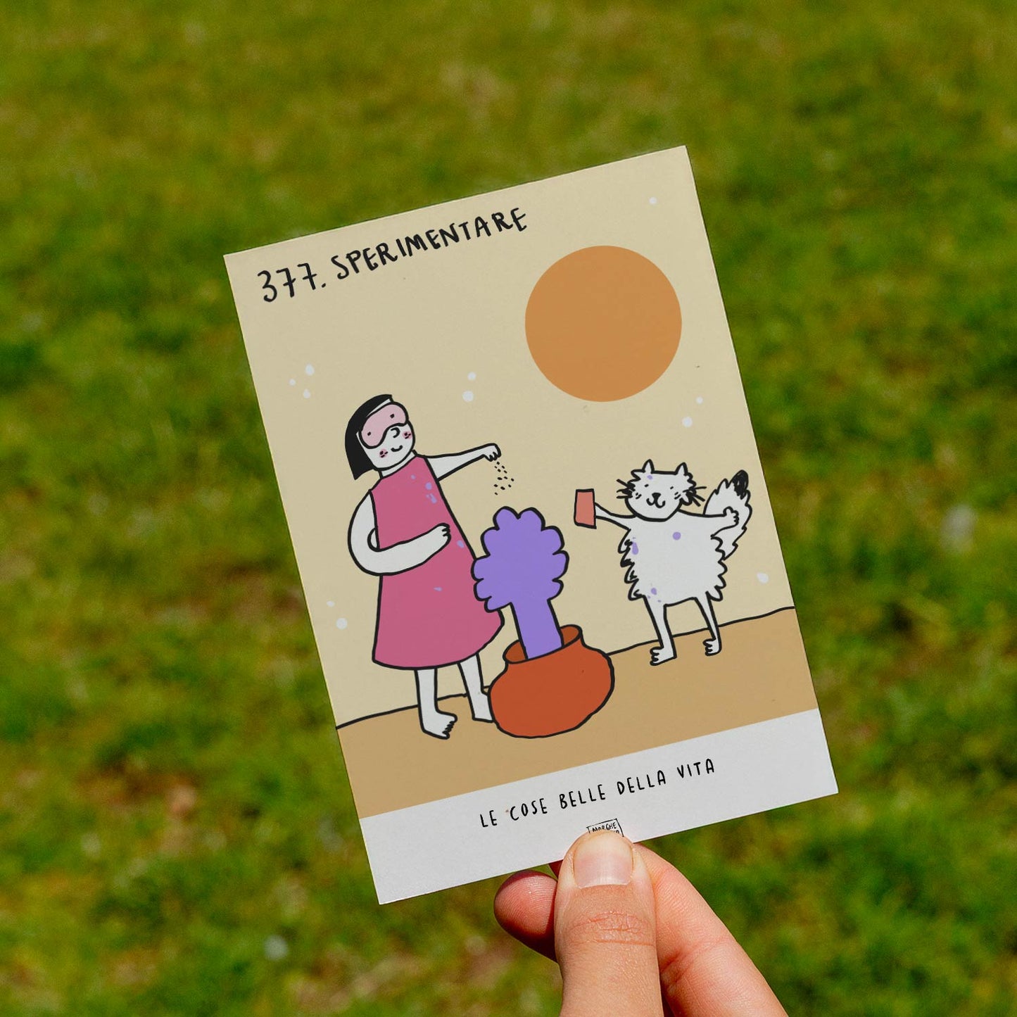 Le cose belle della vita - 377. Sperimentare - prato