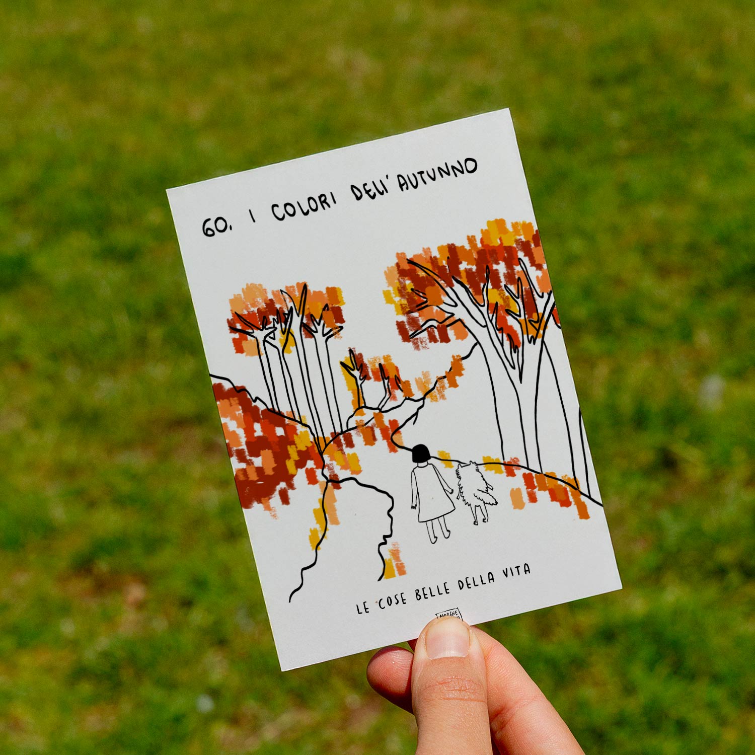 Le cose belle della vita - 60. I colori dell'autunno - prato