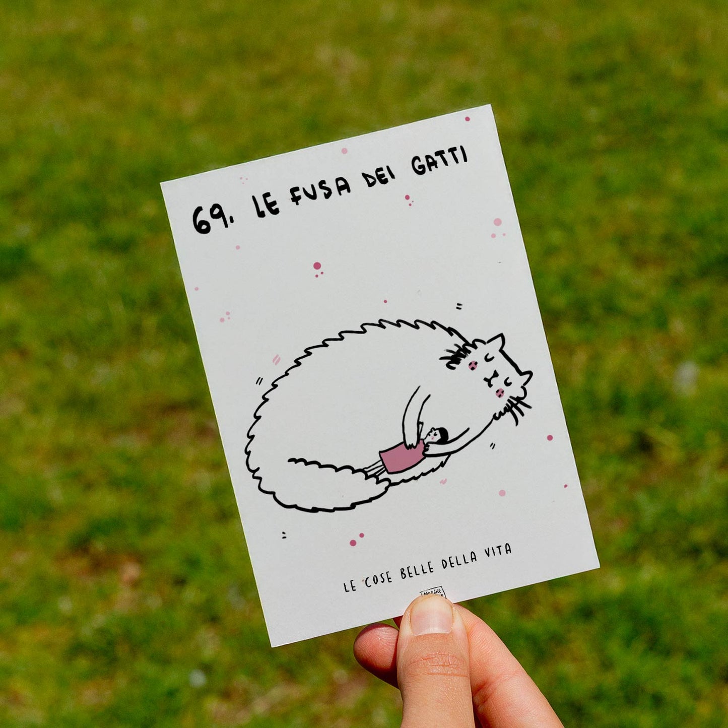 Le cose belle della vita - 69. Le fusa dei gatti - prato