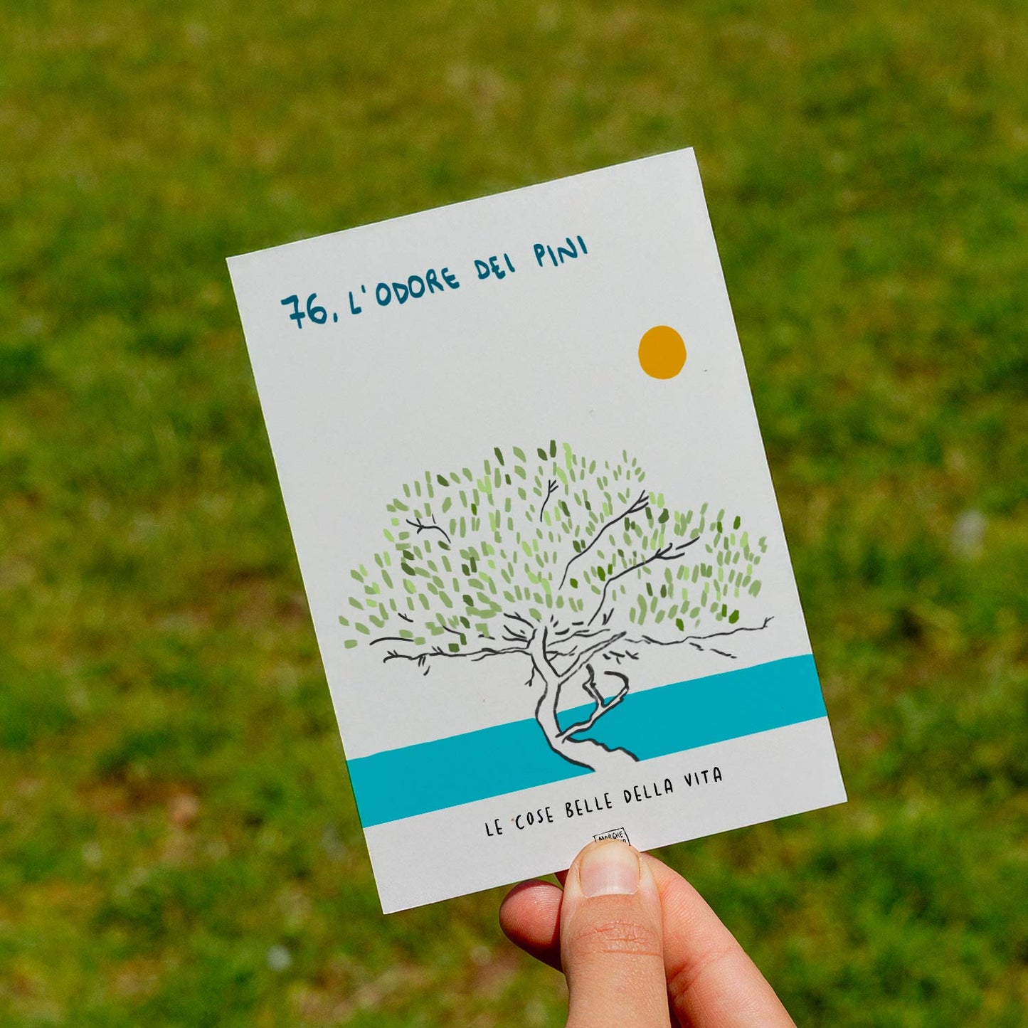 Le cose belle della vita - 76. L'odore dei pini - prato