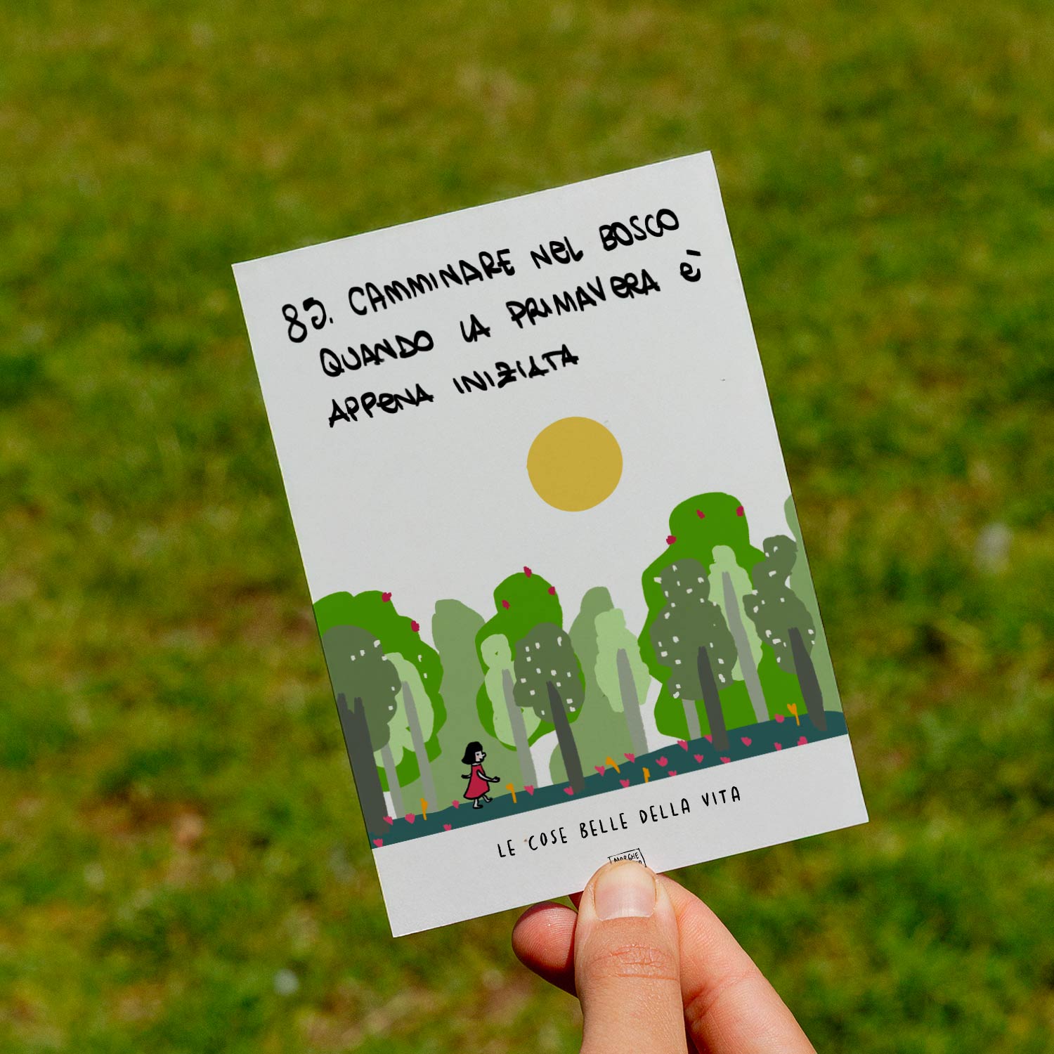 Le cose belle della vita - 85. Camminare nel bosco quando la primavera è appena iniziata - prato