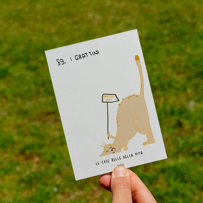 Le cose belle della vita - 89. I grattini - prato