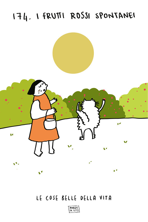 Le cose belle della vita - 174. I frutti rossi spontanei