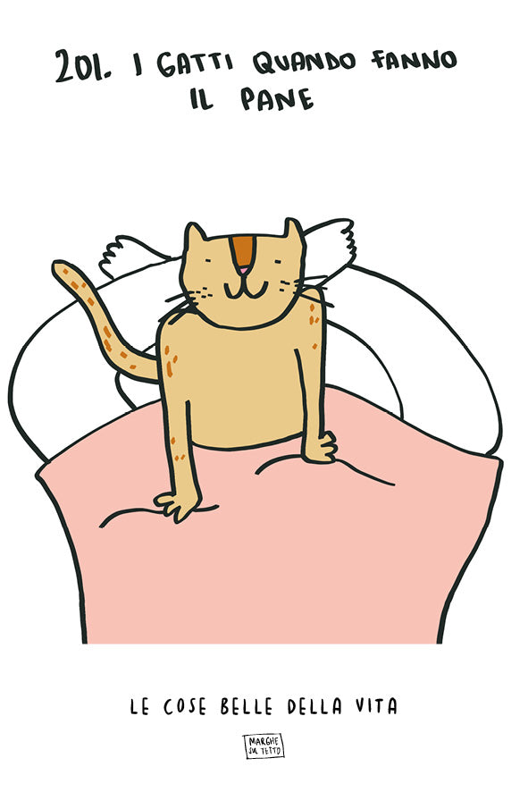 Le cose belle della vita - 201. I gatti quando fanno il pane