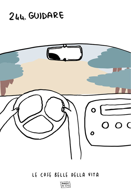 Le cose belle della vita - 244. Guidare