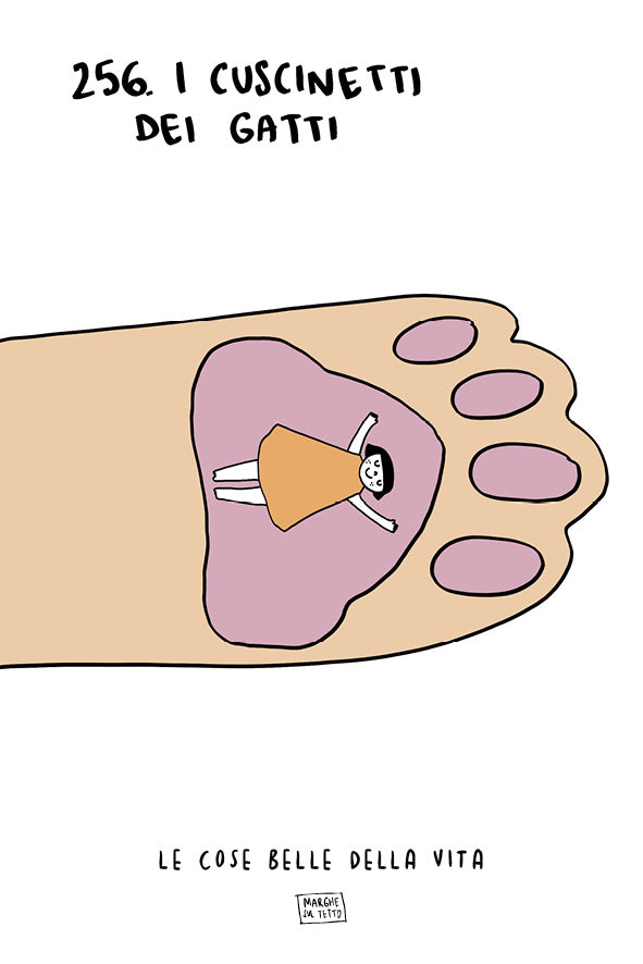 Le cose belle della vita - 256. I cuscinetti dei gatti 
