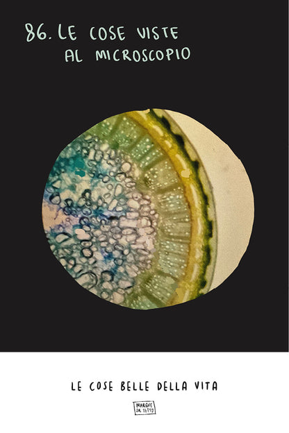 Le cose belle della vita - 86. Le cose viste al microscopio